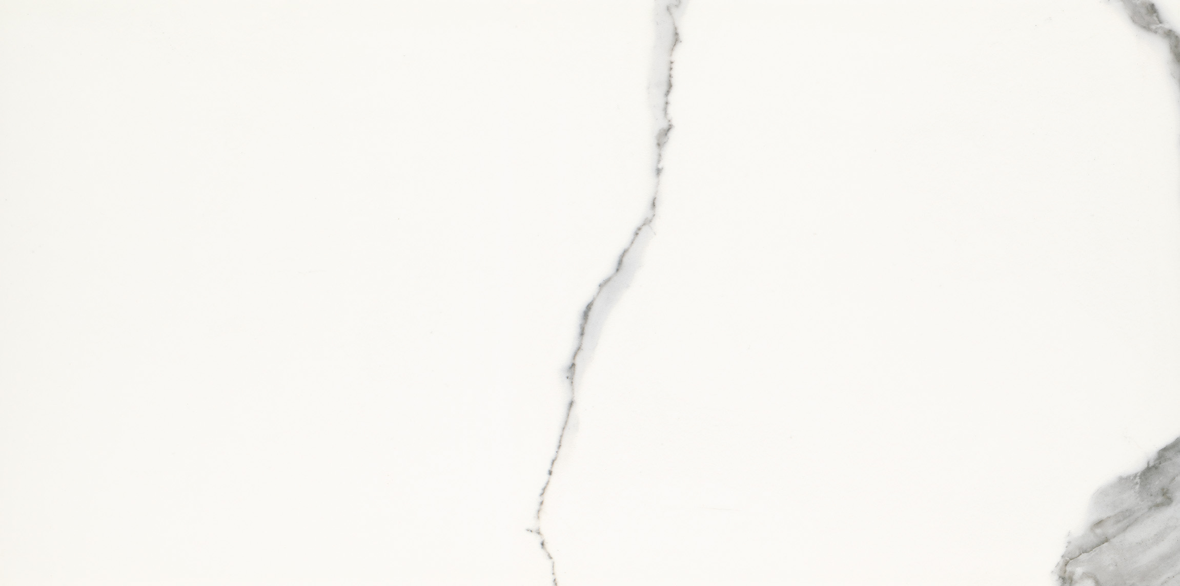 Maxi White 30x60cm 4