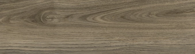 RAINIER taupe 20x75 2