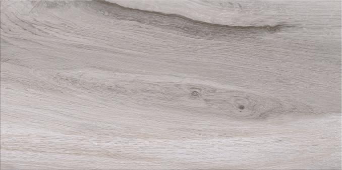 ASHVILLE light grey 29,7x59,8