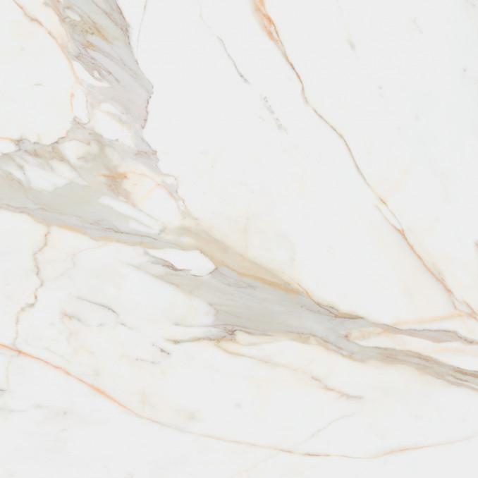 CALACATA gold mate 60x60