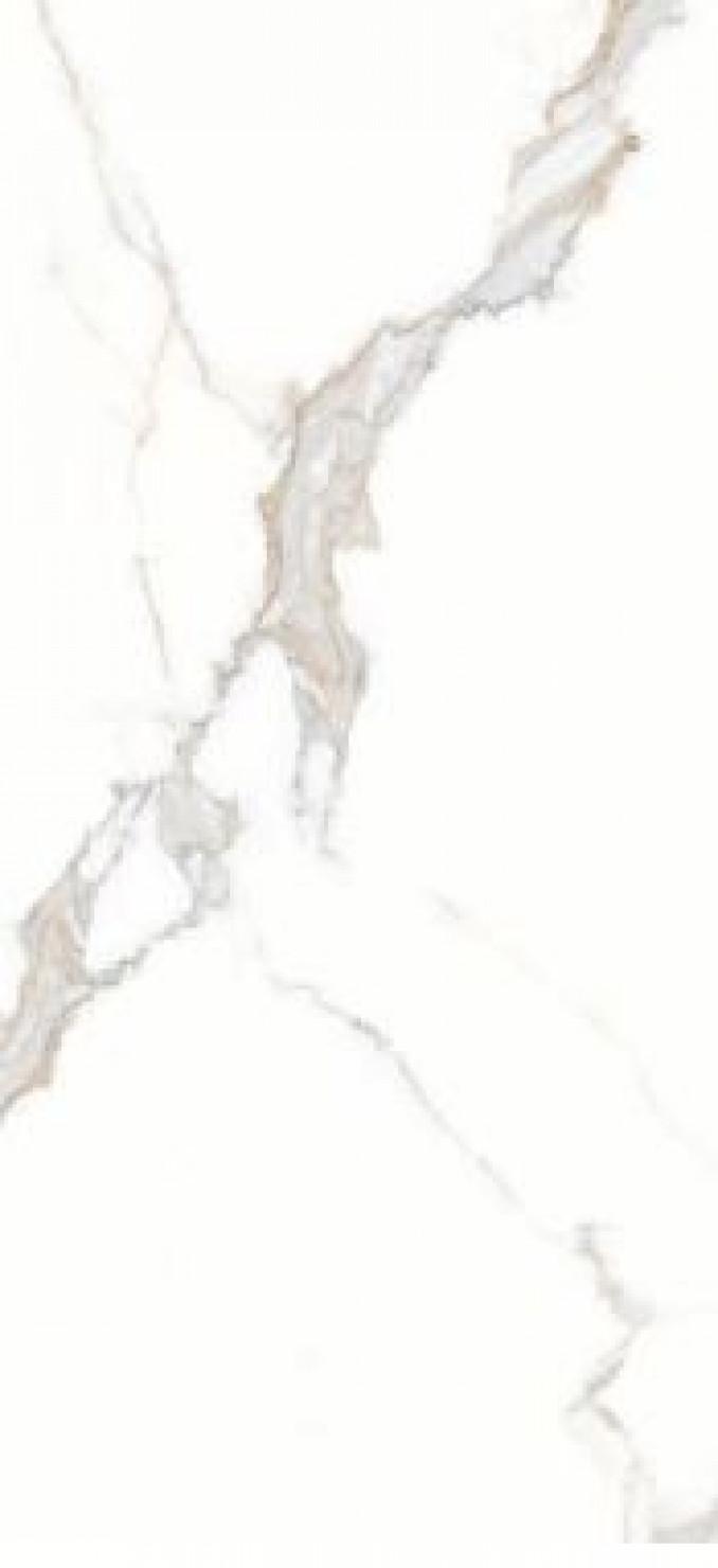 STATUARIO nex (PGVS-B861) 60x120