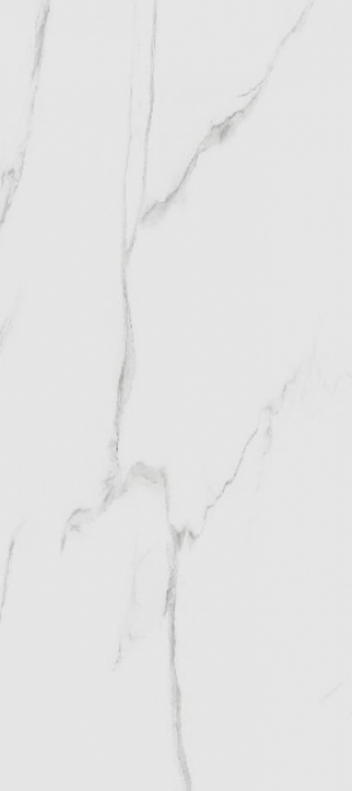 STATUARIO (PGVS-J760) 60x120
